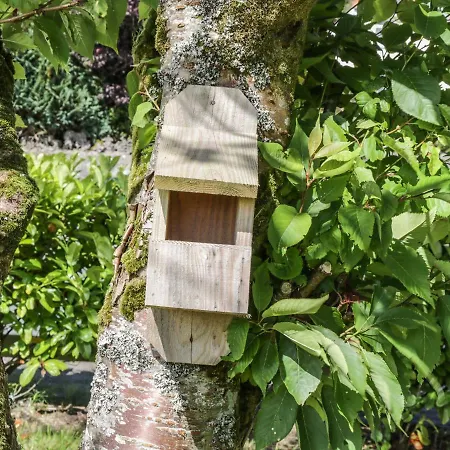 Сasa de vacaciones The Robin's Nest Knock Knock (Mayo)
